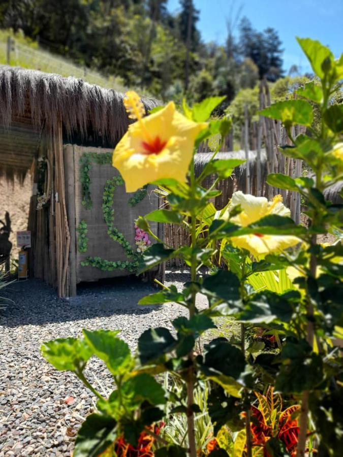 Hotel Islamontana Glamping Fomeque Exterior foto